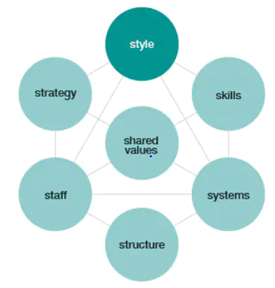 mckinsey 7s model framework