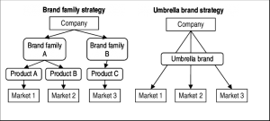 Umbrella Brand Strategy diagram